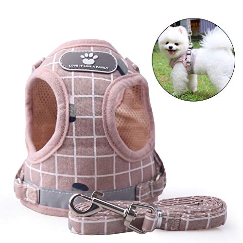 KINGLEAD Chaleco para Mascotas con Correa para Perro, Chaqueta de Invierno Chaqueta Impermeable Abrigo de Lluvia cálido Forro Polar pequeño Mediano Grande Protector de Pecho Acolchado (Rosa, M)