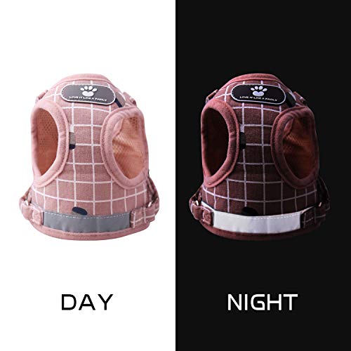 KINGLEAD Chaleco para Mascotas con Correa para Perro, Chaqueta de Invierno Chaqueta Impermeable Abrigo de Lluvia cálido Forro Polar pequeño Mediano Grande Protector de Pecho Acolchado (Rosa, M)