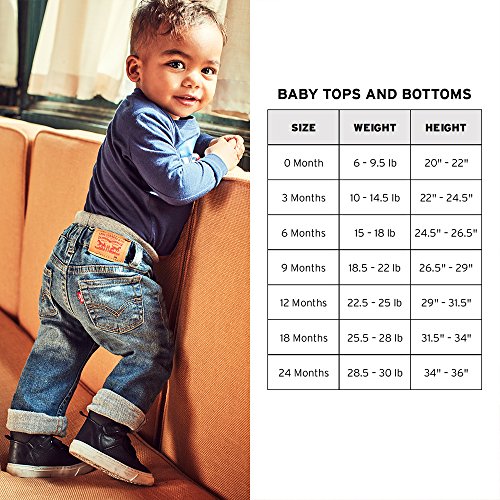 Levi's Baby Girls' Graphic T-Shirt, Marled Gray, 12M