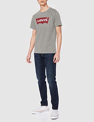 Levi's Graphic Set-In Neck, Camiseta para Hombre, Gris (C18976 Graphic H215 Midtone Htr Grey Graphic H215-Hm 36.2 138), XX-Large