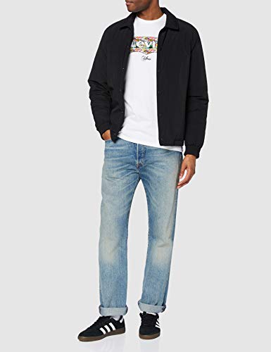 Levi's Housemark Graphic tee Camiseta, White (Ssnl Hm Fish Fill White), Medium para Hombre