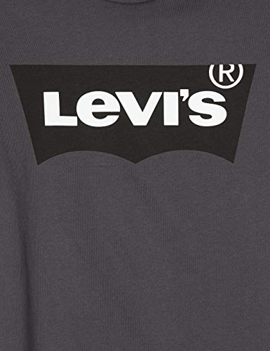Levi's Housemark Graphic tee T-Shirt, Grey (Ssnl Hm Forge Iron 0248), Large para Hombre