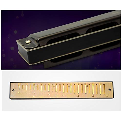 LINGZHIGAN 24 polo de la orquesta de la polifonía del comienzo que juega el adulto mayor