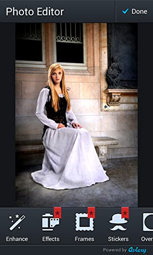 Medieval Photo Editor