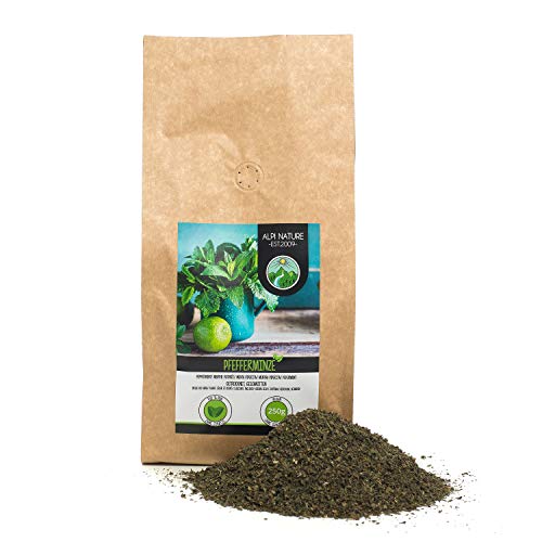 Menta (250g), hojas de hierbabuena cortadas, té de hierbabuena secada suavemente, té de hierbas 100% puro y natural