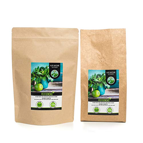 Menta (250g), hojas de hierbabuena cortadas, té de hierbabuena secada suavemente, té de hierbas 100% puro y natural