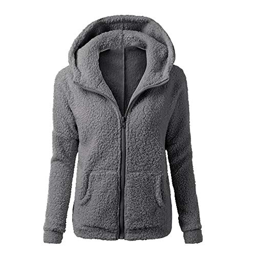 N\P Invierno de las Mujeres de la Chaqueta de Teddy Larga con Capucha Chaqueta Gruesa Caliente de Piel de Lana Casual Otoño Femenino Abrigo de Abrigo