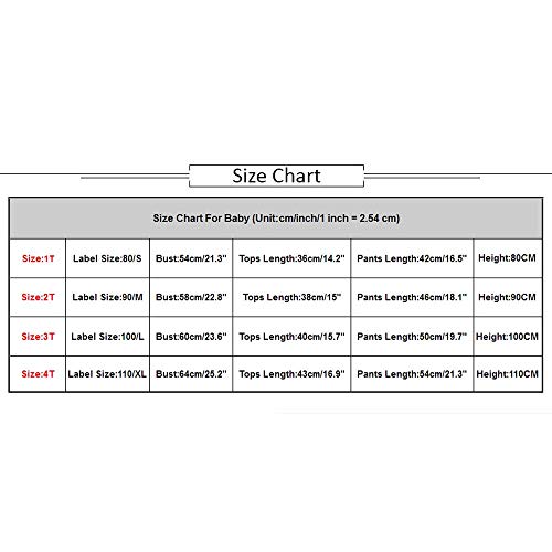 POLP Niño 2018 Conjunto Otoño Invierno Camiseta Manga Larga Hombres,Recién Nacido Bebé Niño Niña Tops Camisas y Pantalones Conjuntos de Ropa Trajes,Camiseta de Hombre Camisetas Deporte Ropa Blusa