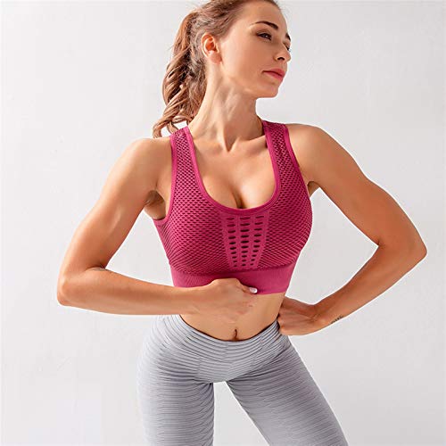 PPKZY Alto Impacto de Las Mujeres Hermoso Hermoso BRUS BRATE Sports INCONSORTIDO Yoga DE Yoga Correo DE Yoga DE FITNIDAD DE FACTENCIA Principal DE PROPORTES Bras (Color : Gray, Size : 2-S)