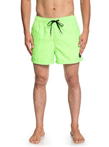 Quiksilver Everyday Shorts, Hombre, Green Gecko, L