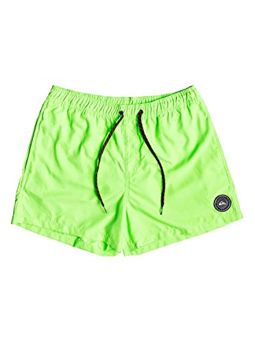 Quiksilver Everyday Shorts, Hombre, Green Gecko, L