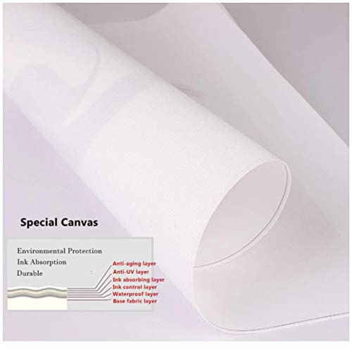 Raspbery Eminem Slim Shady Singer Rap Hip Hop álbum de música imagen arte cartel e impresiones lienzo pintura decoración del hogar -70x70cm sin marco