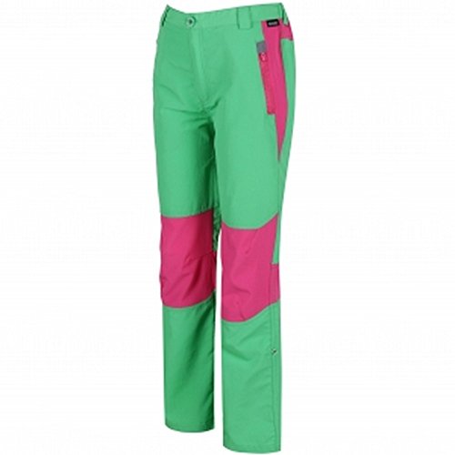 Regatta - Pantalón Modelo Sorcer Mountain III para niño (11-12 años) (Verde)