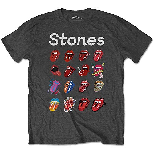 Rolling Stones The Filter Evolution Camiseta, Gris, M para Hombre