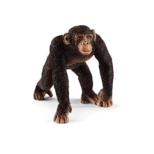 Schleich- Figura chimpancé macho, 5,7 cm