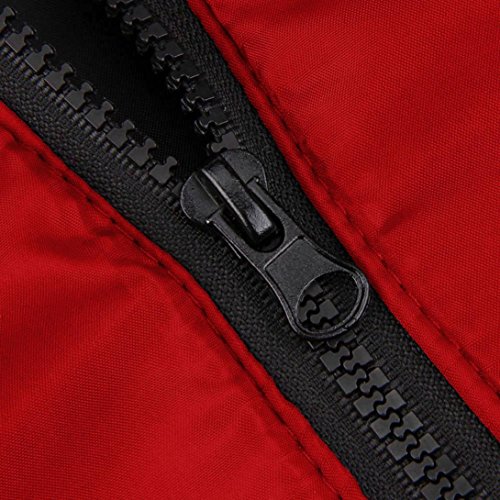 SHOBDW Hombres Delgado Informal Chaqueta Caliente Encapuchado Invierno Gruesa Abrigo Parka Abrigo con Capucha (Rojo, M)