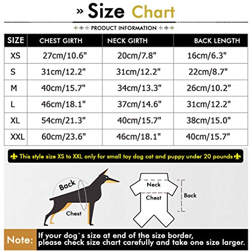 SMALLLEE_LUCKY_STORE Chaqueta de suéter para Perros Chaqueta de Clima frío Chaqueta para Perros con Capucha Chihuahua Ropa de Invierno para Perros pequeños Ropa de Abrigo Gris XL