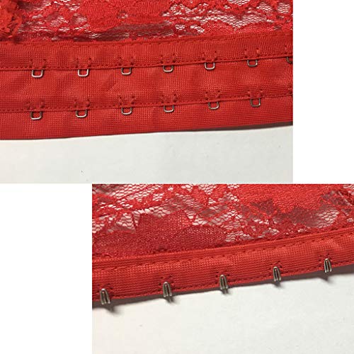 VisSec Disfraz Corsé Mujer Lencería Conjunto de Encaje Transparente, VicSec Gótico Sexy Ropa Interior Erótica Floral con Bustier + Tanga