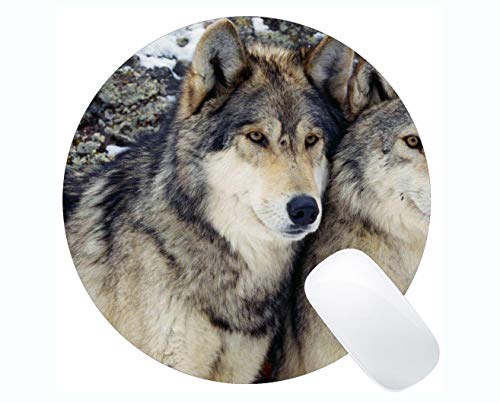 Yanteng Cojín de ratón Redondo del rectángulo, Estera Militar de Mousepad del Juego del Animal del Lobo