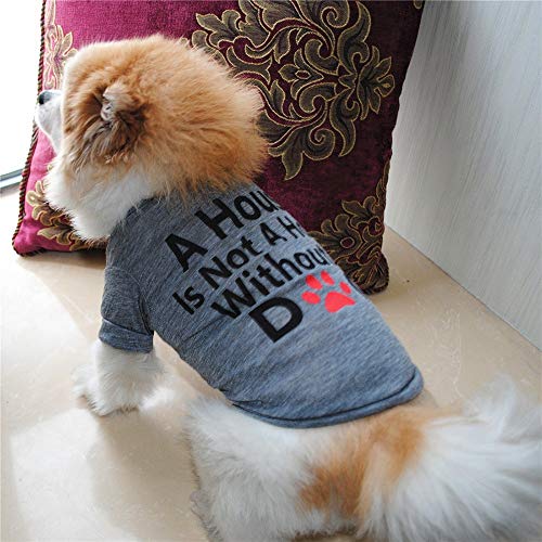 ZEZKT Camiseta con Estampado de Letras para Mascotas Mejor Perro Amante Regalos algodón Verano Camisa pequeño Perro Gato Mascota Ropa Chaleco Camiseta