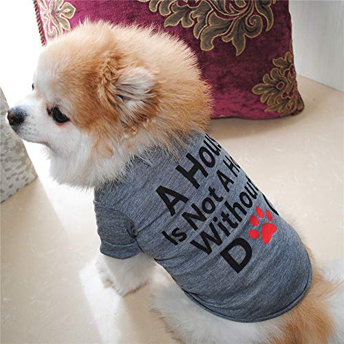 ZEZKT Camiseta con Estampado de Letras para Mascotas Mejor Perro Amante Regalos algodón Verano Camisa pequeño Perro Gato Mascota Ropa Chaleco Camiseta