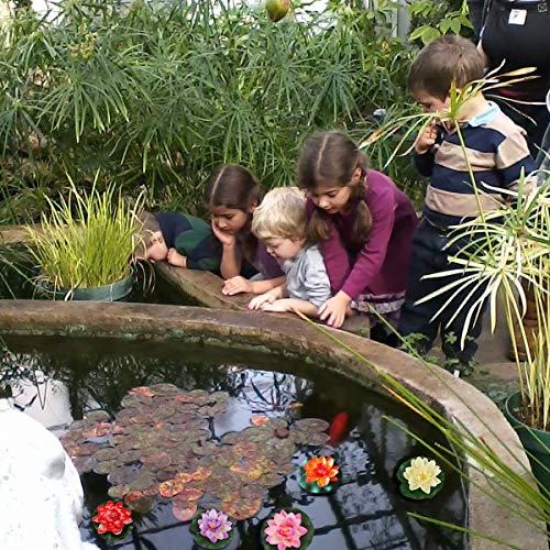 10 piezas de Romantic flotantes Flor, a Prueba de Agua Flor de Loto para los Amantes y los Niños, se Aplica a San Valentín día de la Boda Acuarios Decoración
