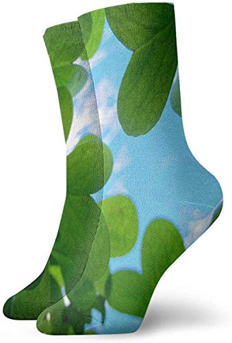 BEDKKJY Calcetines Deportivos Café Amor Pinterest Vestido para Hombre único Medias Decoración Calcetín para niños