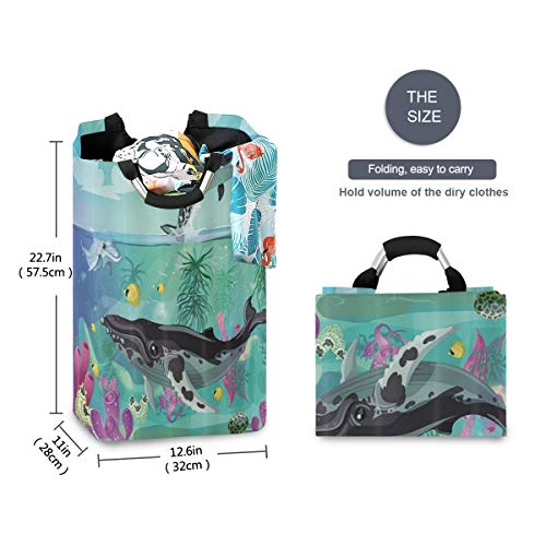 COFEIYISI Cesto para la Colada,Ballena De Dibujos Animados Animales del Océano Vida Marina con Plantas Marinas Y Delfines,Plegable Cestas Bolsas Almacenamiento