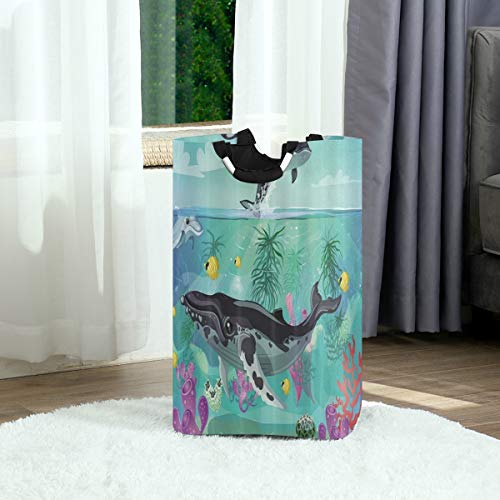 COFEIYISI Cesto para la Colada,Ballena De Dibujos Animados Animales del Océano Vida Marina con Plantas Marinas Y Delfines,Plegable Cestas Bolsas Almacenamiento