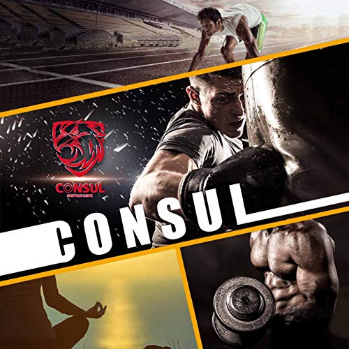 CONSUL Cuerda para saltar de alta velocidad,Comba de CrossFit,Speed rope crossfit,Incluye 2 comba de saltar ,Rodamiento rápido.Comba de Boxeo,También es adecuado para las mujeres!