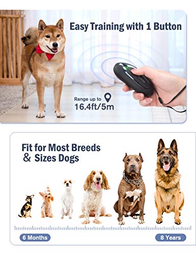Dispositivo antiladridos para perros, Ultrasónicos Ahuyentador de Perros de mano, herramienta anti ladridos recargable alcance efectivo de 5m, Antiladridos para perros pequeños y grandes al aire libre
