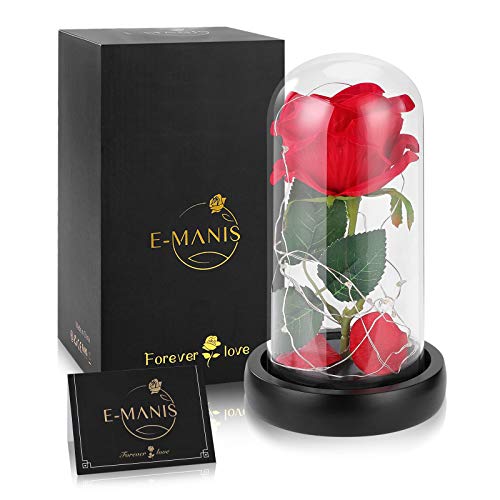 E-MANIS Kit de Rosas,La Bella y La Bestia Rosa Encantada,Elegante Cúpula de Cristal con Base Pino Luces LED,Beauty and Regalos Magicos Decoración para Día de San Valentín Aniversario Bodas