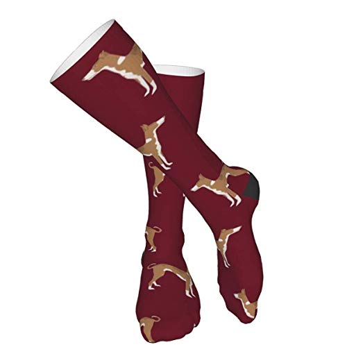 Ibizan Hound Standing Pure Breed Dog Ruby Calcetines Gruesos y cálidos Personalizados Calcetines de Vestir a Media Pierna Calcetines Largos de Invierno Ocasionales para Hombres y Mujeres