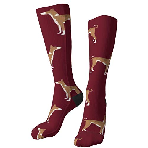 Ibizan Hound Standing Pure Breed Dog Ruby Calcetines Gruesos y cálidos Personalizados Calcetines de Vestir a Media Pierna Calcetines Largos de Invierno Ocasionales para Hombres y Mujeres