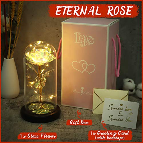 Minterest Rosa Eterna,Rosa Bella y Bestia con luz LED, Regalos Originales para Mujer,Regalos Mujer(Rosa)