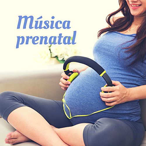 Musica prenatal – Piano con sonidos de la naturaleza para mujeres embarazadas y bebés en el vientre, meditacion y concentracion, mejor dormir y relajacion