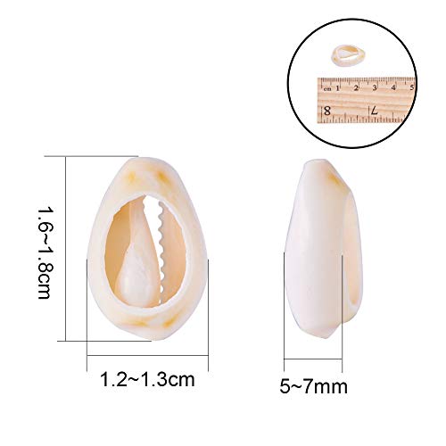 NBEADS 450 Piezas/Caja Látigo de Papaya Cáscara de Espiral Mixta Cuentas de Concha de Mar Artesanía de Concha de Vaquera para Collar, Gargantilla, Pulseras Y Joyería de Moda Inspirada En África