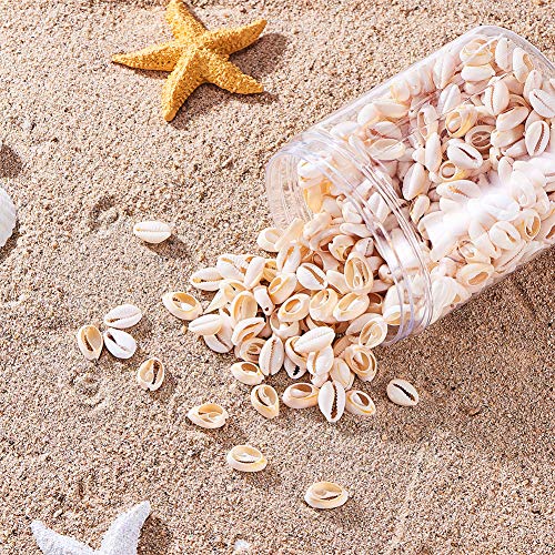 NBEADS 450 Piezas/Caja Látigo de Papaya Cáscara de Espiral Mixta Cuentas de Concha de Mar Artesanía de Concha de Vaquera para Collar, Gargantilla, Pulseras Y Joyería de Moda Inspirada En África