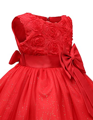 NNJXD Vestido de Fiesta de Princesa con Encaje de Flor de 3D sin Mangas para Niñas (2-3 años, Rojo)