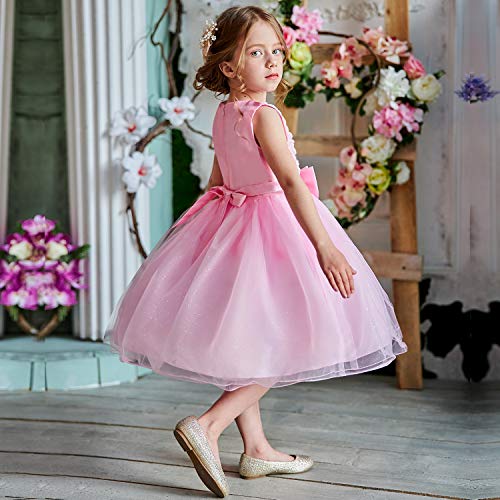 NNJXD Vestido de Fiesta de Princesa con Encaje de Flor de 3D sin Mangas para Niñas Talla(100) 18-24 Meses Rosa