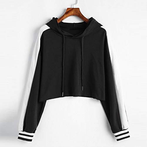 Reooly 4 a Punta de Lanza español Latino administracion Loteria Ibiza soly Alfredo Olivas Amor Encapuchado apostador apunta Ave pitohui Aventura bajo la Capucha roja Barrio en Ingles Frances bideos