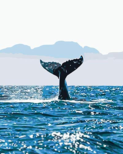 TAOJUNXI Pintar por Números-Cola De Ballena-Pintura para Pintar por Números con Pinceles Y Colores Brillantes - Cuadro De Lienzo con Numeros Pre Dibujado Fácil De Pintar 40X50Cm Sin Marco