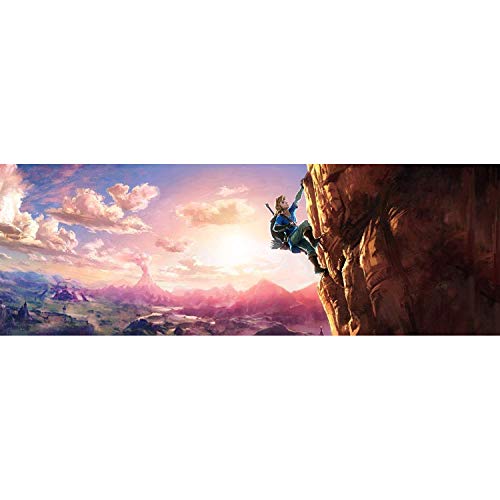 The Legend of Zelda: Breath of the Wild [Importación francesa]