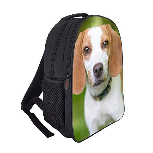 XIAHAILE Unisex Backpack Mochila Tipo Casual para Senderismo Acampada, Montañismo, trabajar más-Cachorro De Perro Foxhound Inglés