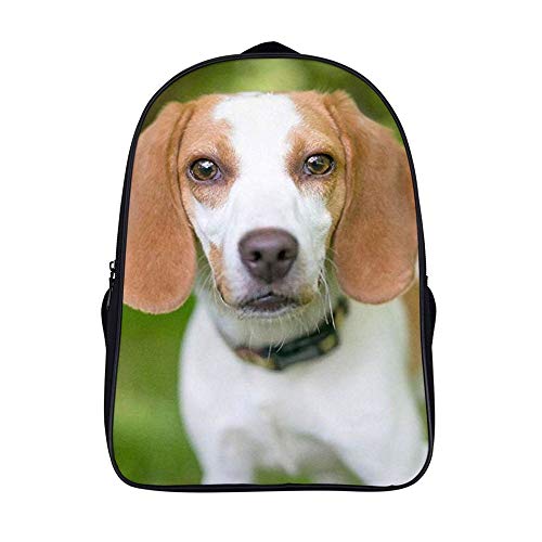 XIAHAILE Unisex Backpack Mochila Tipo Casual para Senderismo Acampada, Montañismo, trabajar más-Cachorro De Perro Foxhound Inglés