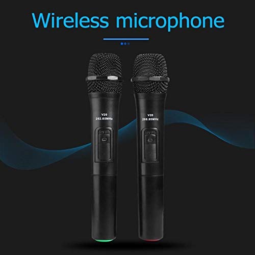 XUEXIU Mictico de Mano Inteligente de micrófono inalámbrico con Receptor USB para Karaoke discurso Altavoz de Audio micrófonos para PC o Todo Smartphone (Color : 2pcs v20)
