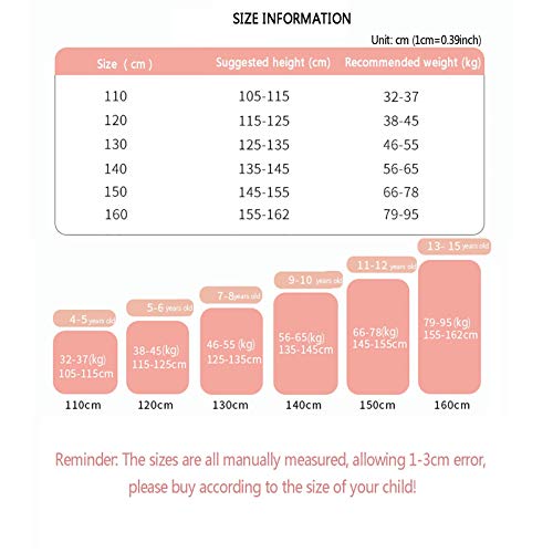 XYW Hanfu Girls - Falda Engrosada otoño e Invierno Princesa Antigüedad Infantil más Velvet Tang Traje Traje Vestido (Color : Full Set, Size : #120)