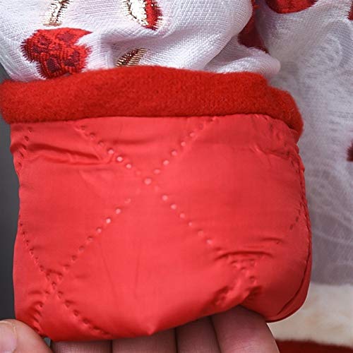 XYW Traje Tang Girls - Ropa de Año Nuevo Invierno Acolchado Acolchado Falda, Niña, Estilo Chino Festivo Hanfu Niño (Color : Red, Size : #120)