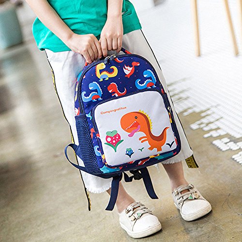 Berimaterry Escuela De Dibujos Animados Niños Shark Bolsa Nuevos Niño Niña Linda De Tiburón Mochila Niños 1-6 Años Animales Mochilas Mochilas Kinder Bolso Dinosaurio de la Historieta niño bebé niña