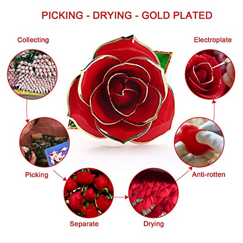 Cozime Rosa de Oro 24K con Base Soporte, Fresco Rosas Vivas con Caja de Regalo para Madre, Novia, Esposa, el Día de San Valentín, Navidad, Fiestas Doradas - Rojo (Rojo) (Rojo)